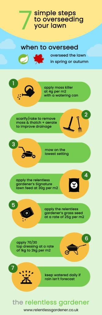 How to Overseed Lawn Infographic