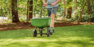 How & when to overseed a lawn