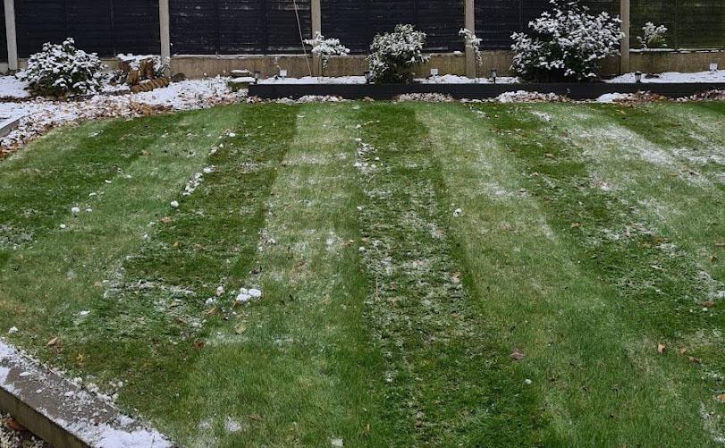 December Month Lawn Care