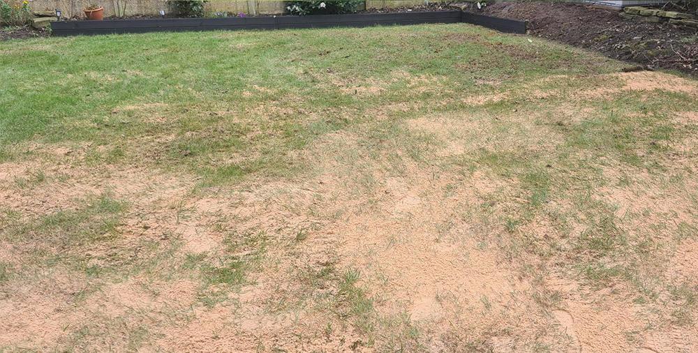 Spreading Specialist Base Lawn Sand